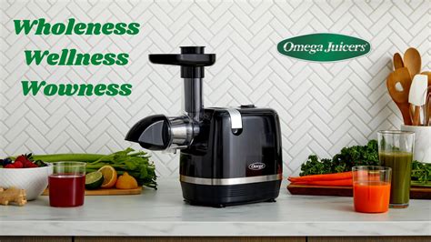 costco canada omega juicer|omega juicers where to buy.